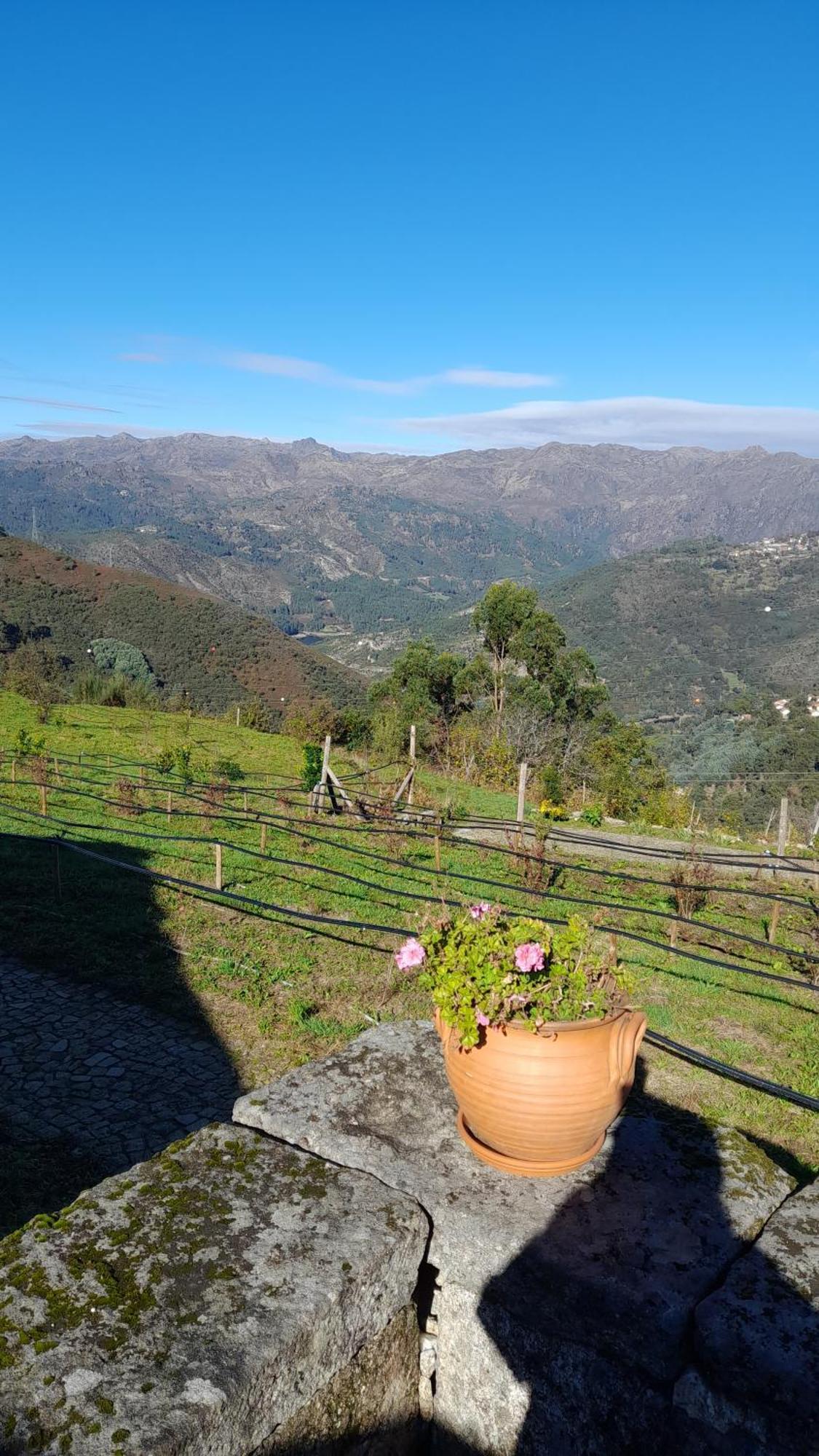 Quinta Da Riba Ma Guest House Santa Leocadia ภายนอก รูปภาพ